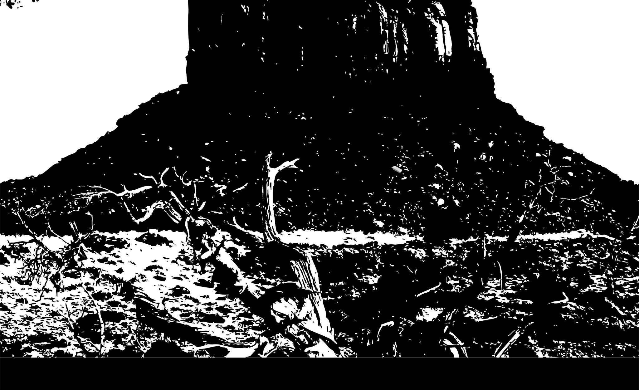 Desert Art